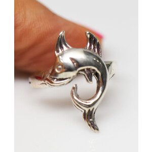 Anilo Plata 925 Diseño Delfin Macizo